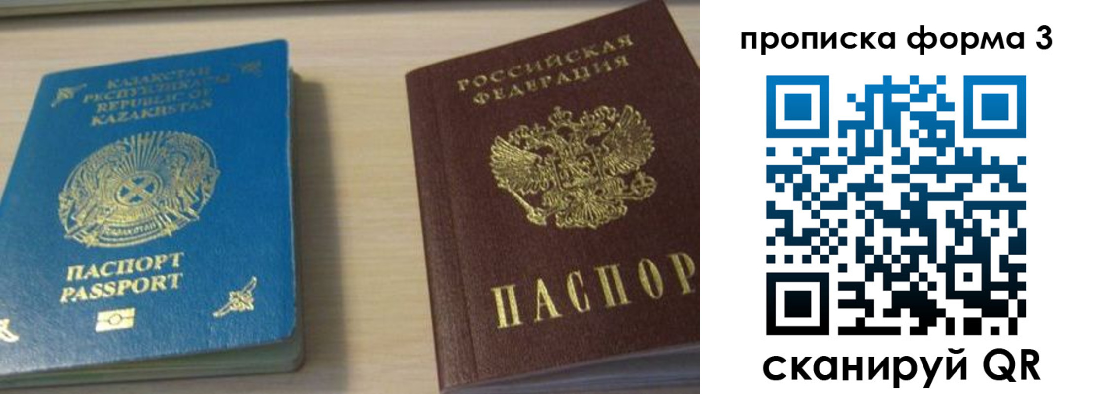 прописка от собственника в Шумихе